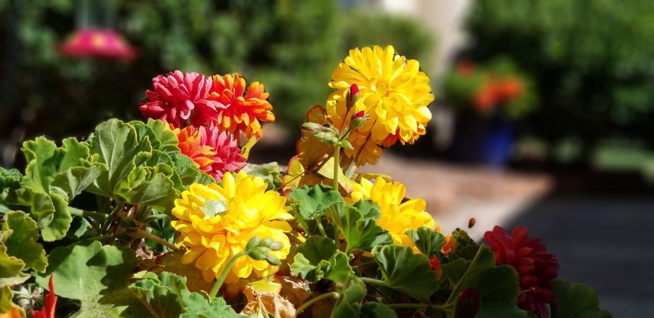 Adobe Hacienda Bed & Breakfast Sedona Exterior foto